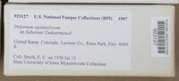 Image Associated With the Occurence